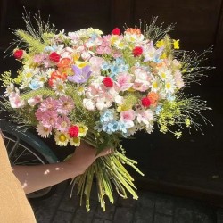 ted147, 19700203, Edmonton, Alberta, Canada ted147, 19700203, Edmonton, Alberta, Canada